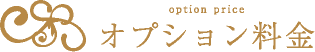 オプション料金